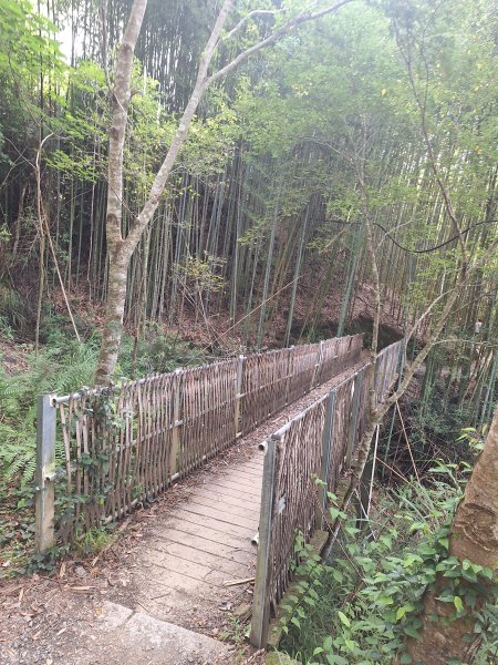 司馬庫斯神木步道順遊司立富瀑布11508023116729