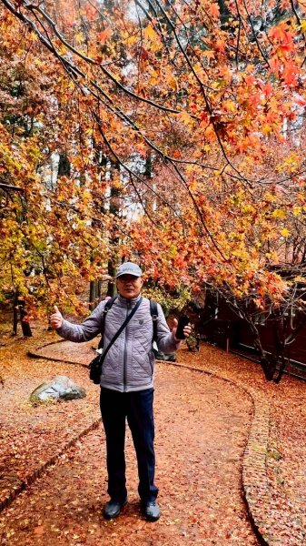 🌈12/20(六)福壽山農場~追風趣✨FB：熊熊趴爬走🌈2967269