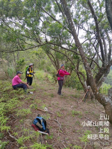 [新竹芎林]小尾山南稜...清理釘牌2111948