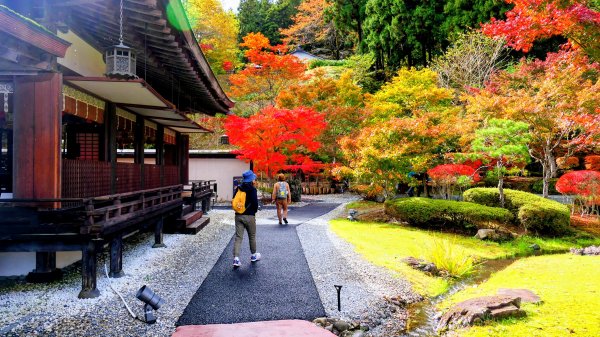 岩手縣藤原之鄉2930101