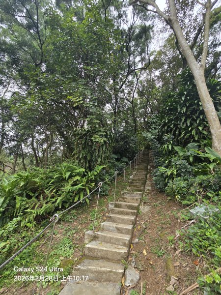 2026-02-28微笑山線：【大棟山系】405高地段3008684