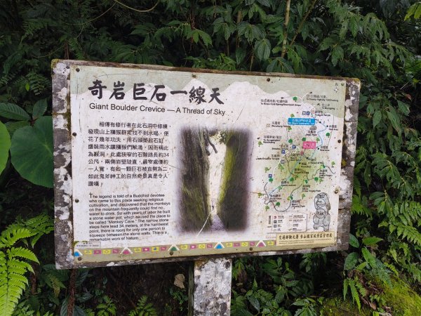 五指山走春3009575