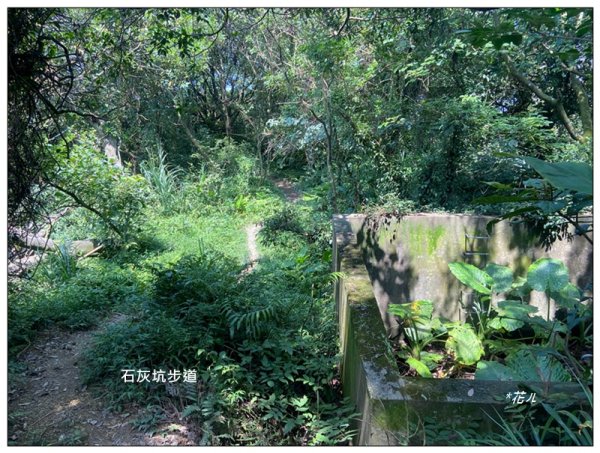 中坑山．石灰坑山．望湖山 連走2812973