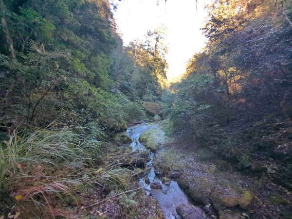 2026.01.03－鎮西堡B區神木群2981157