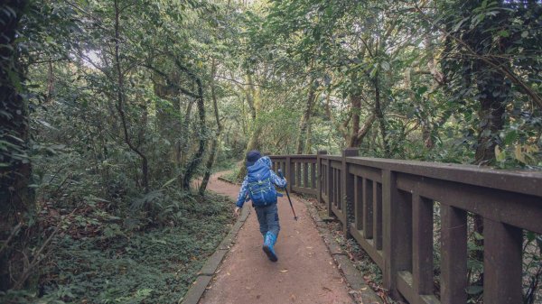 雨鞋登山初體驗-大屯山南峰、大屯山西峰連走1647923