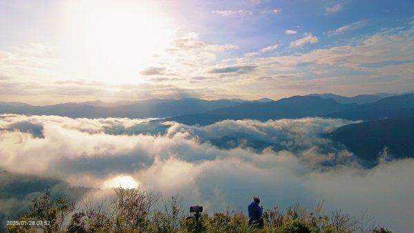 除夕寒流來襲的翡翠水庫雲海&天元宮寒櫻1/282700706