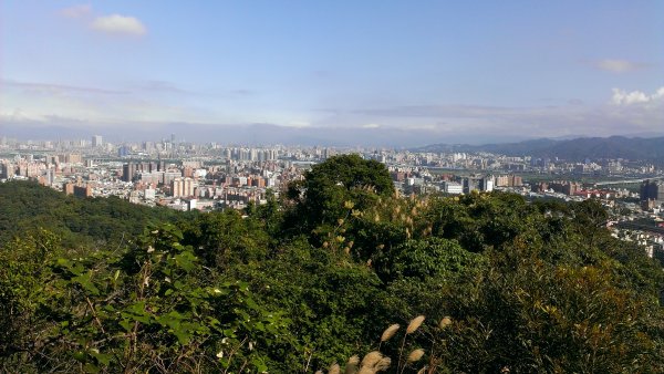 [新北樹林][二]牛埔山、牛埔尾山、石灰坑山東峰