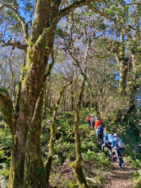 鲁壁山-東穗山-大島田山2662046