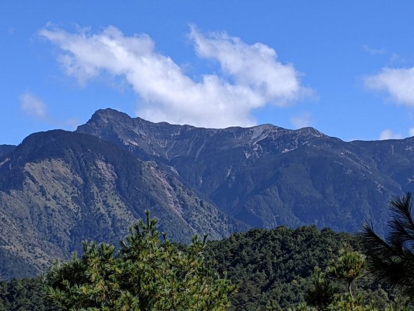 玉山被遺忘的角落_塔塔加三山1547089