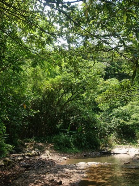 淡蘭烏山古道西段、網形山O走1434244