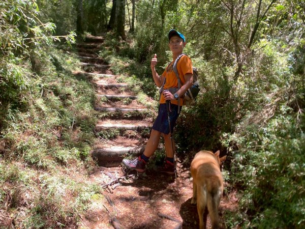 東埔山+東埔大草原步道【這裡的夏天冷颼颼】2826516