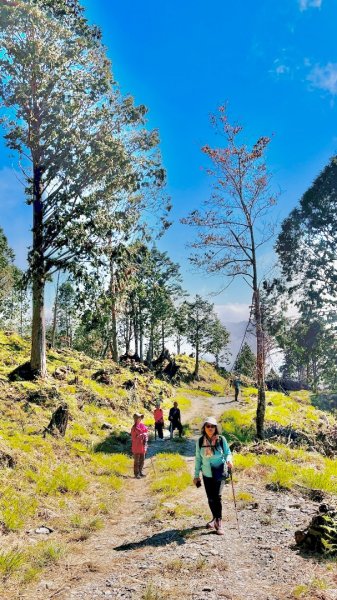 三星山(小百岳#85) 鳩之澤溫泉煮蛋趣2952835