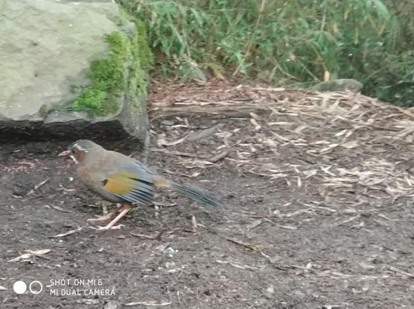 2018老公的生日禮物446793