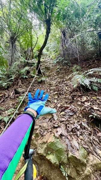 新店和美山三潭縱走中和三山-南勢角天上山-日月洞2588649
