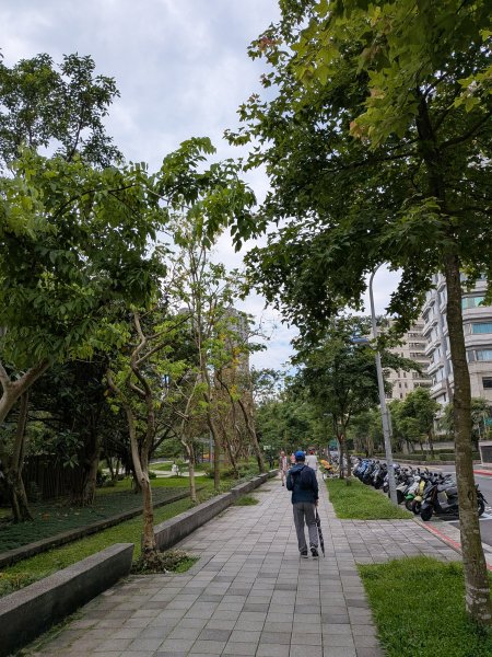 2025-06-01 五進五出九五峰2803002