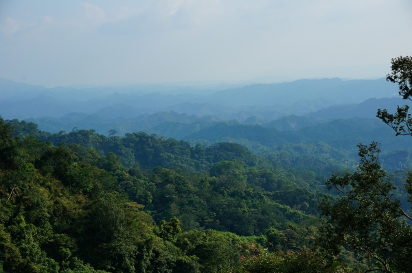 大坑二嵙山90965