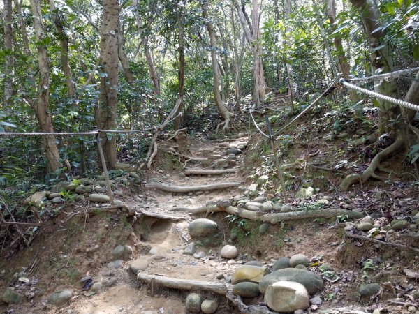 新竹飛鳳山(中坑山)小百岳880239