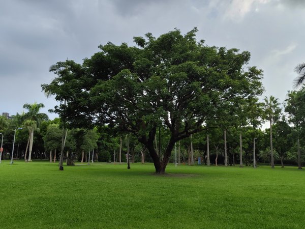 大安森林公園、臺北市政府、市府轉運站、宏匯瑞光廣場、大港墘公園《挑戰！台北捷運集章全制霸》2580186