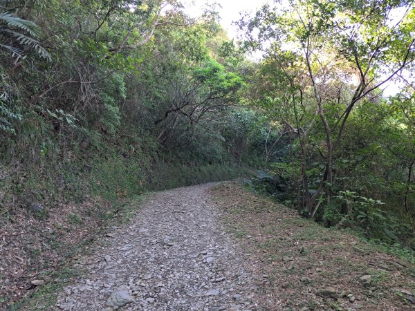 宜蘭七星嶺，松羅，見晴懷古步道3136189