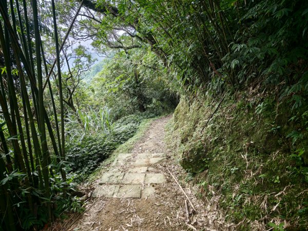 [淡蘭古道] 2026_0531 北路第四段_金字碑古道(下)-金字碑3071092