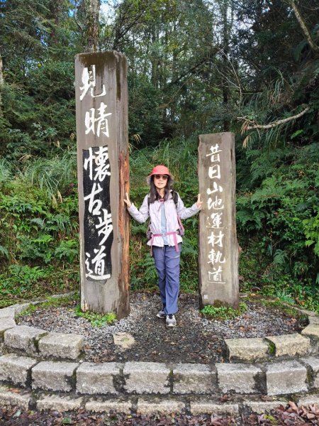 見晴懷古步道2940574