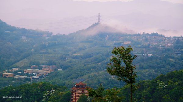 翡翠水庫壩頂 #火燒雲雲海 #日出雲海 #鱷魚島 #藍腹鷴 4/292773802