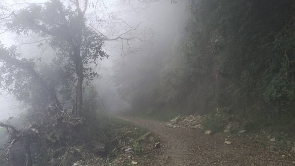 20251010 大雪山國家森林遊樂區 - 船型山林道 登 烏石坑山2911114