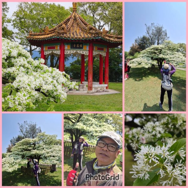 樟之細路-尋寶💎任務1-53019779