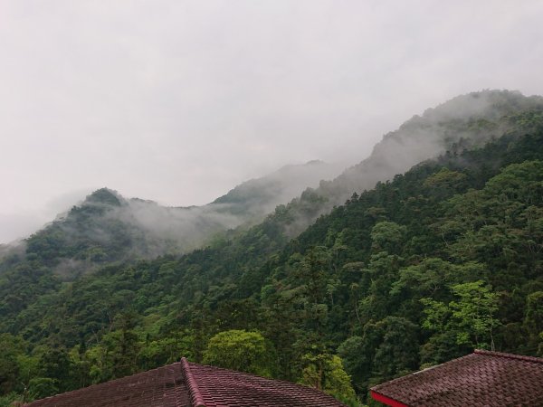 小東河步道1347710