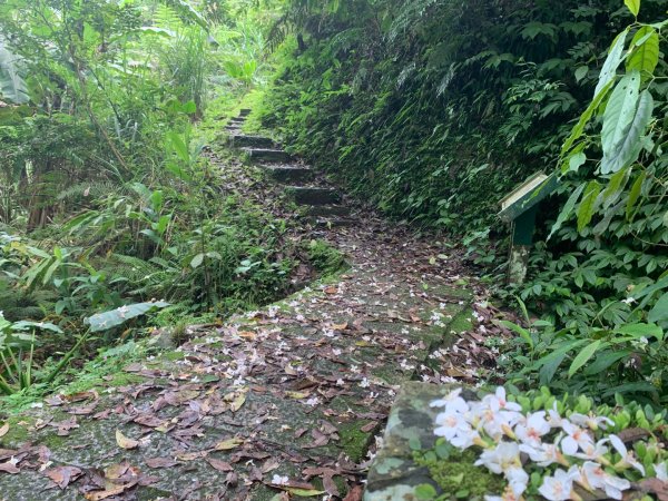大崎棟古道、騎龍古道2772307