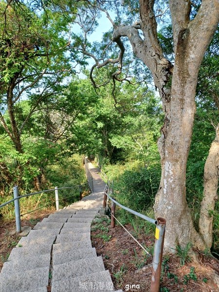 【苗栗造橋】適合親子悠閒踏青。劍潭古道2533447