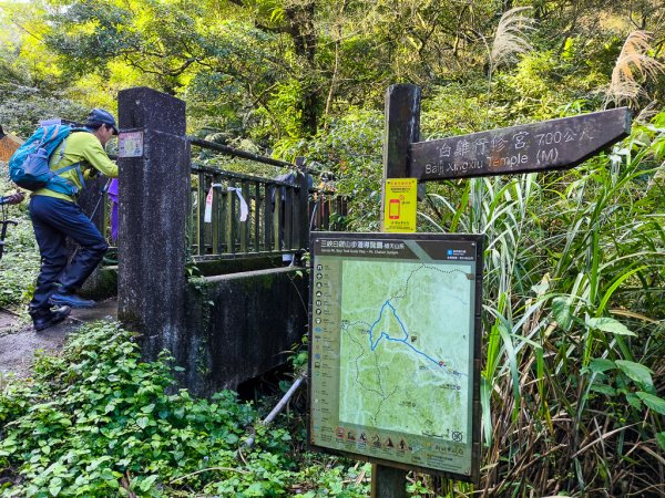 2025-01-12 白雞山、雞罩山、雞罩山前峰、鹿窟尖2690618