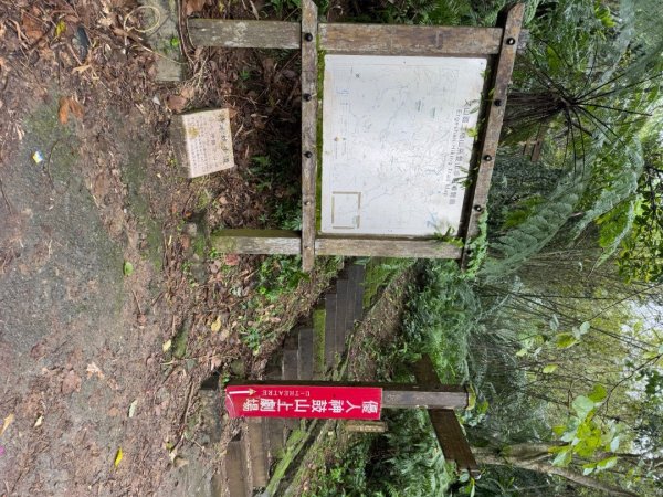 2025元旦 新店獅頭山（小獅山）順遊 高麗坑山，員潭子坑山，待荖坑山，樟湖山，樟山 出政大2680982