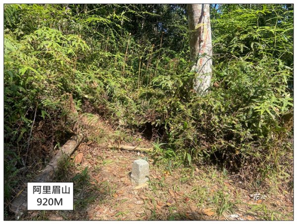 阿里眉山 (日月潭四姝的么妹)2753074