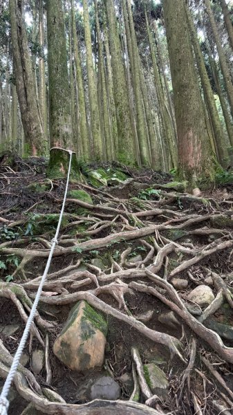 加里山東南峰2867929