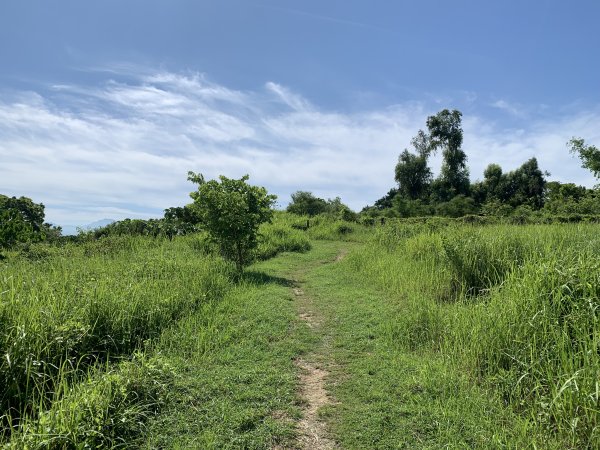 20250628高雄望雲山-尚書林山2826296