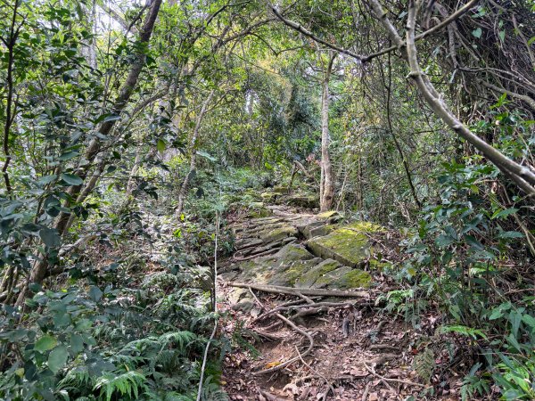 暗影山步道2753095