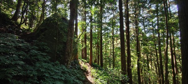 2025/12/06-光高天+南大龜+向天湖+三角湖山2957686