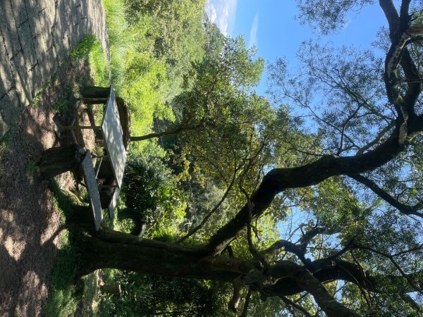 微笑山⛰️線-大棟-二格山-五分山-天上山-鳶山💎12條步道完成💙2837229