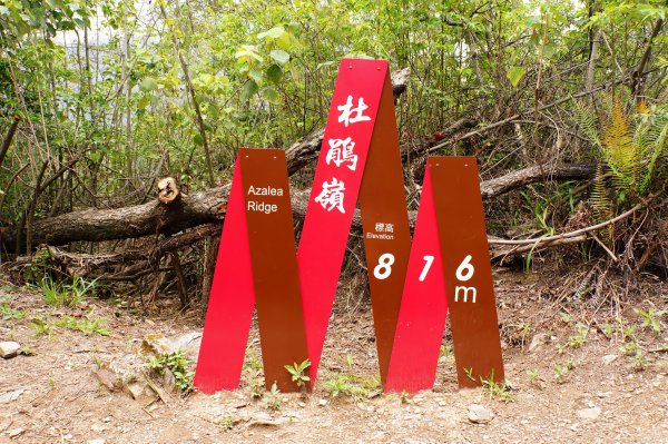 南投 仁愛 松風山3052505