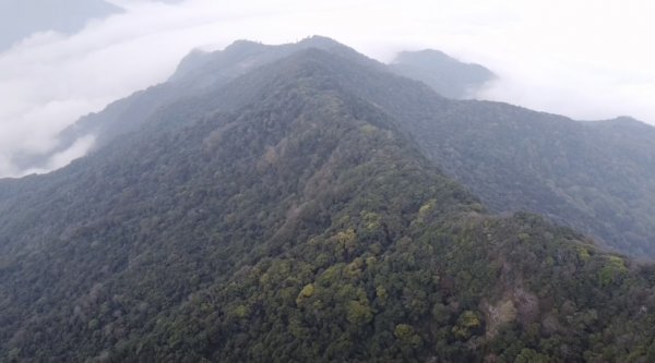 騰龍山頂賞雲海1316293