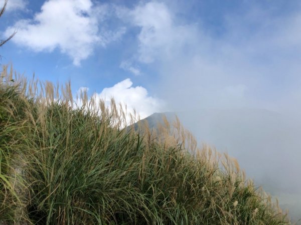 大屯山西峰542121