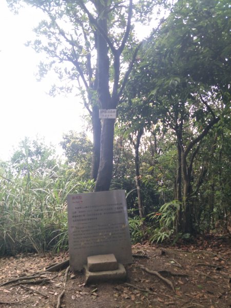 2021 05 11 獅仔頭山登山步道1384443