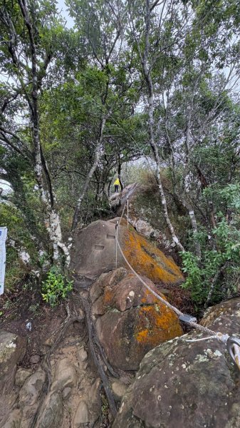 迎新（2026元旦2975577