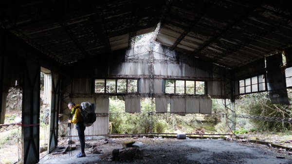 深藏在郡大林道被遺忘的明珠清水山、金子山、郡大山三日1943849