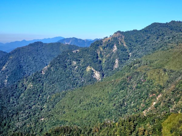 稍來山賞楓2962579