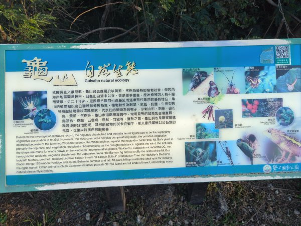 2025.01.29－新年走春：墾丁龜山2706134