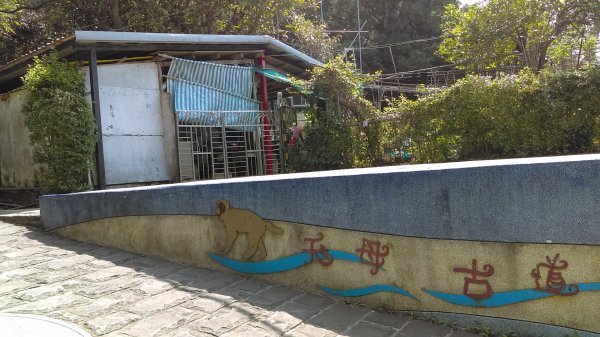 【臺北親山拓印趣】天母山天母古道白雲瀑布918678