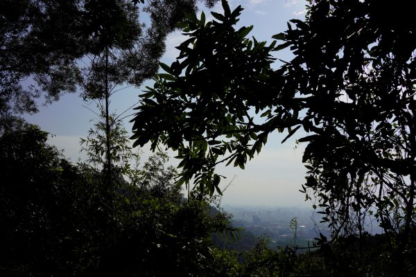 聚興山 新田登山步道2670669