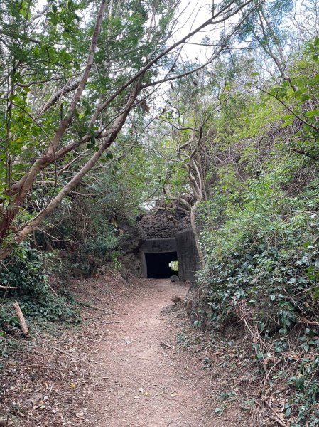 230210-美美兔不在頭城龜山島，在絕美秘境車城龜山步道。熱的不像冬天。2040070